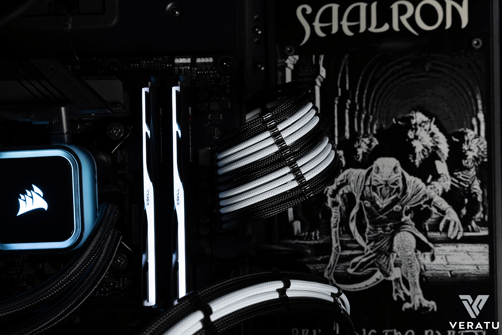 PSU Cable Detail